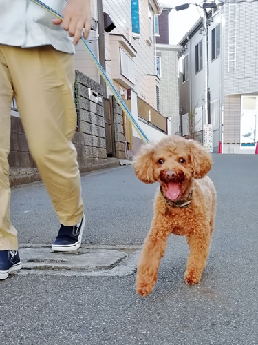 結城チロロ動物病院　ホテル写真1